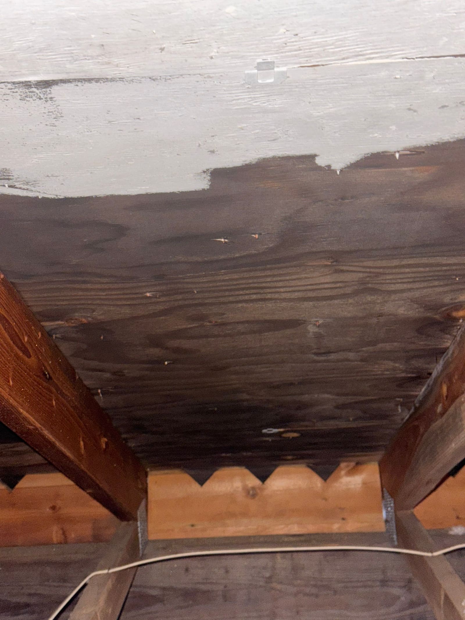 Water-damaged roof decking discovered during a repair inspection